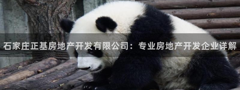 万向娱乐平台代理多少钱一年