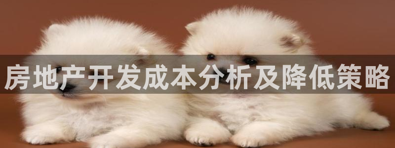 万向娱乐网址是什么