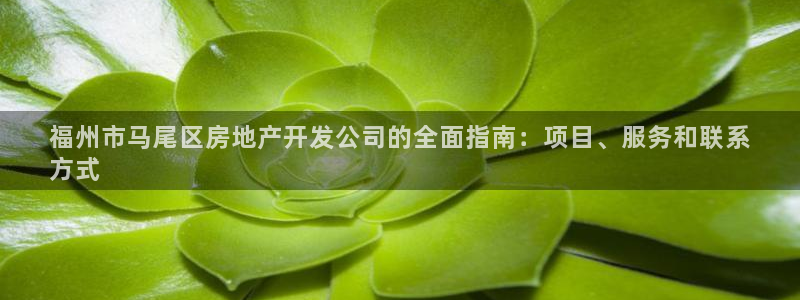 万向娱乐技术