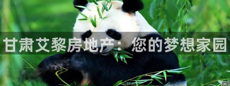 万向娱乐
