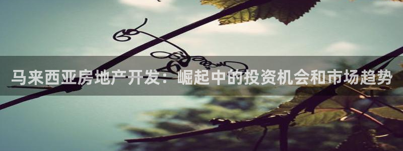 万向娱乐的联系方式有哪些