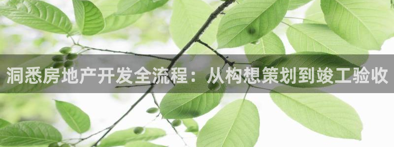 万向娱乐王者荣耀