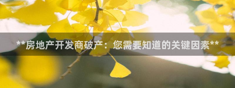 万向娱乐平台代理多少钱