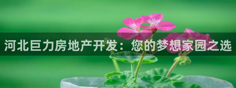 万向娱乐官网