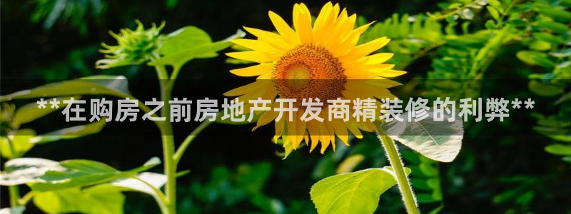 万向娱乐平台代理