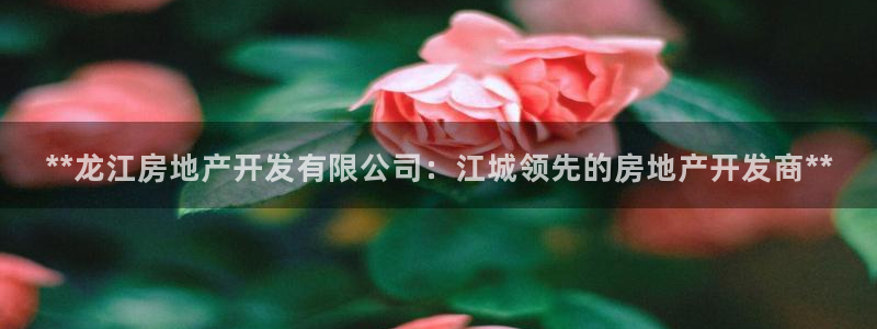 万向娱乐平台代理怎么做赚钱