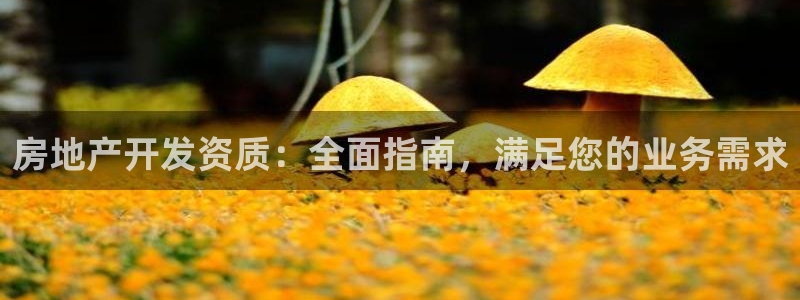 万向娱乐官网下载安装