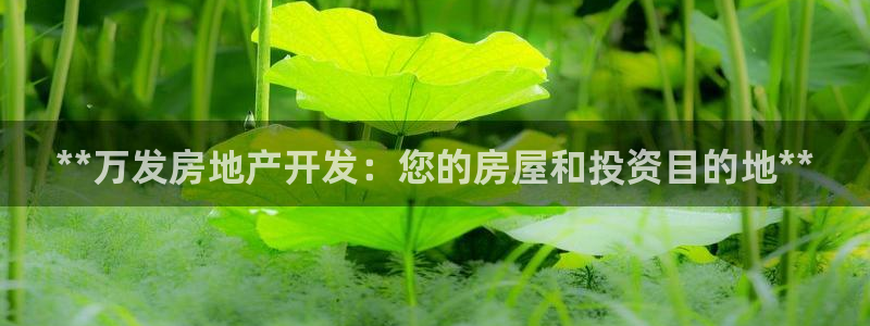 万向娱乐是哪个旗下