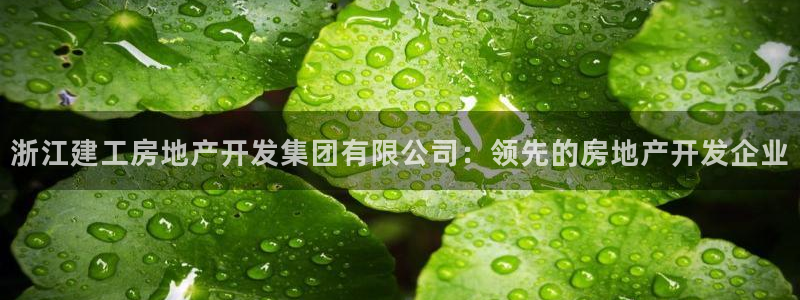 万向娱乐app下载