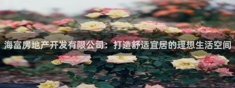 万向娱乐公司官网