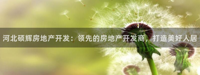 万向娱乐是野鸡台吗