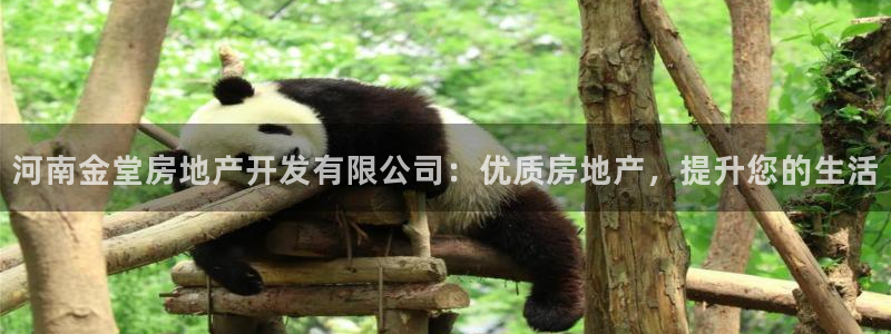万向娱乐登陆官网入口
