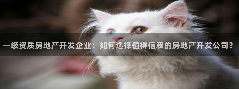 万向娱乐公司官网电话