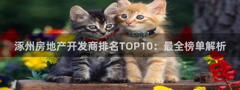 万向娱乐平台代理多少钱一个月