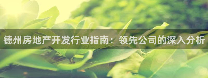 万向娱乐平台代理怎么样