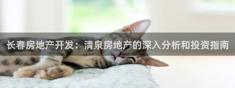 万向娱乐招商