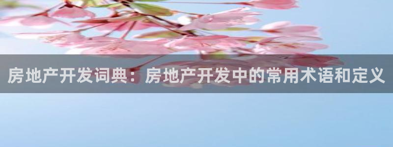 万向娱乐老板