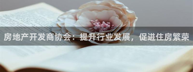 万向娱乐平台代理怎么做赚钱