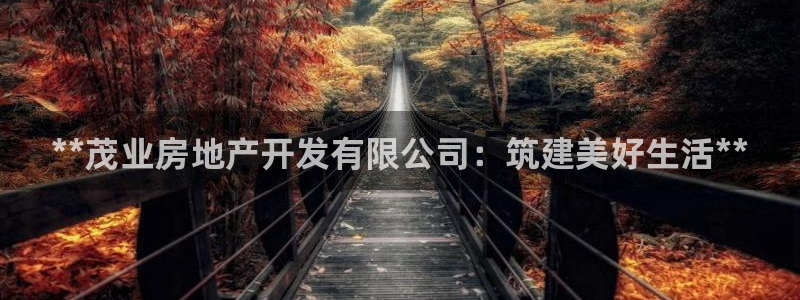 万向娱乐的联系方式有哪些