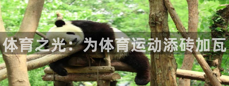 77体育app下载官网：体育之光：为体育运动添砖加瓦