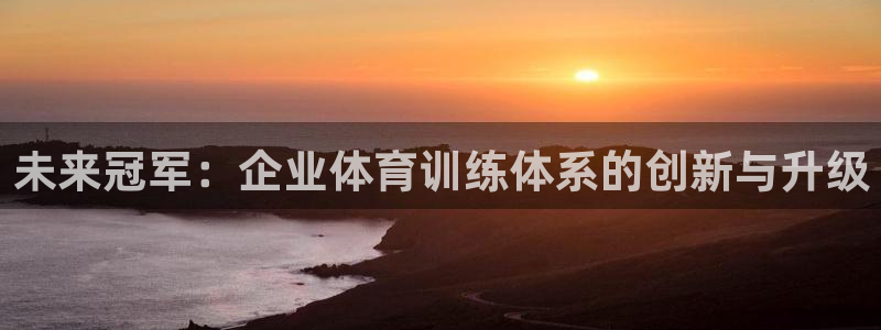 77体育：未来冠军：企业体育训练体系的创新与升级