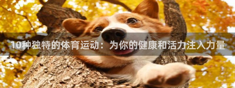 77体育app下载官网：10种独特的体育运动：为你的健康和活力注入力量