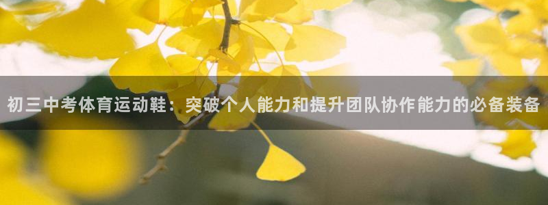 77体育：初三中考体育运动鞋：突破个人能力和提升团队协作能力的必备装备