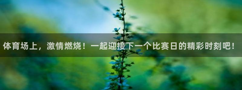 77体育官网：体育场上，激情燃烧！一起迎接下一个比赛日的精彩时刻吧！