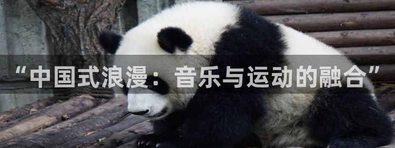 77体育app下载官网：“中国式浪漫：音乐与运动的融合”