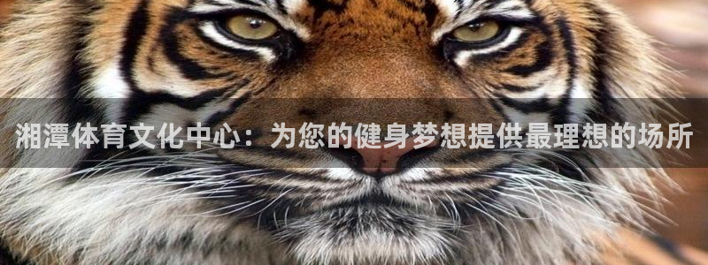 皇冠277体育：湘潭体育文化中心：为您的健身梦想提供最理想的场所