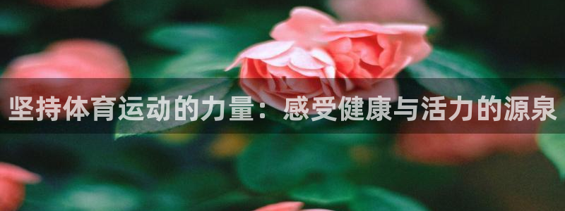 77体育app下载官网：坚持体育运动的力量：感受健康与活力的源泉