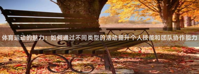 77体育官网：体育运动的魅力：如何通过不同类型的活动提升个人技能和团队协作能力
