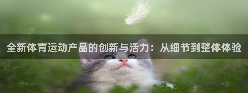 77体育