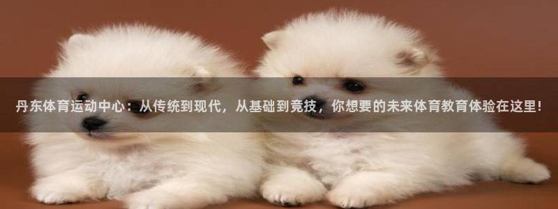 77体育app下载官网
