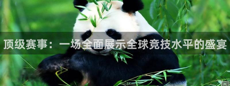77体育：顶级赛事：一场全面展示全球竞技水平的盛宴