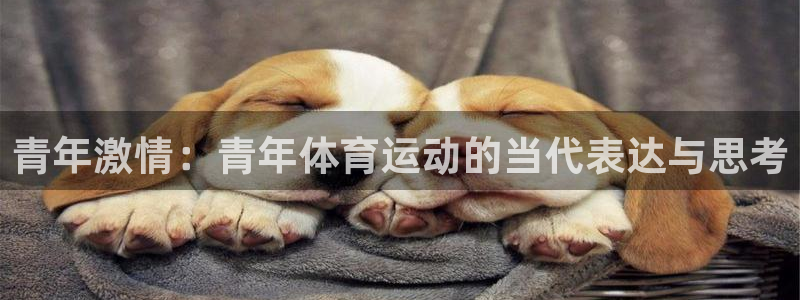 77体育