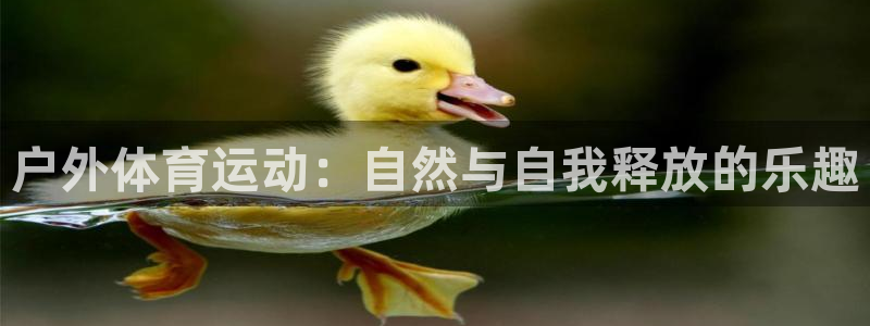77体育app下载官网：户外体育运动：自然与自我释放的乐趣