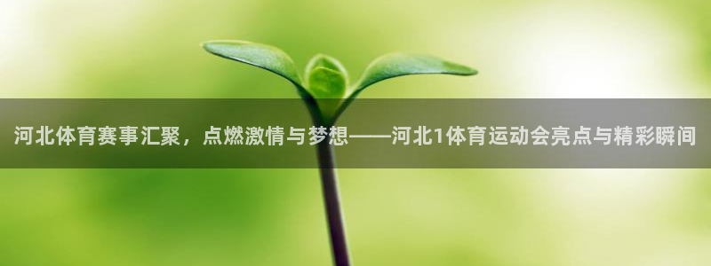 77体育：河北体育赛事汇聚，点燃激情与梦想——河北1体育运动会亮点与精彩瞬间