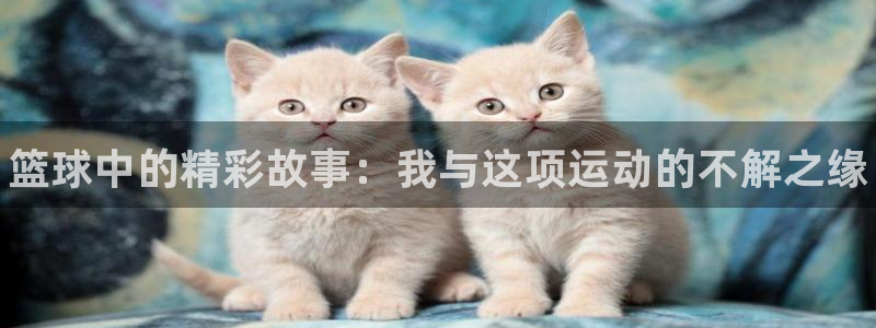 皇冠277体育：篮球中的精彩故事：我与这项运动的不解之缘