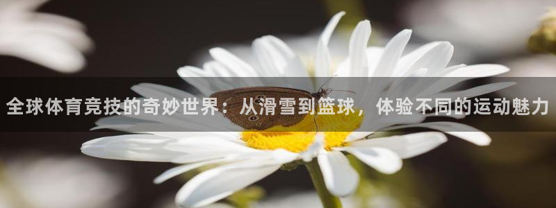 77体育