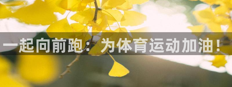 77体育