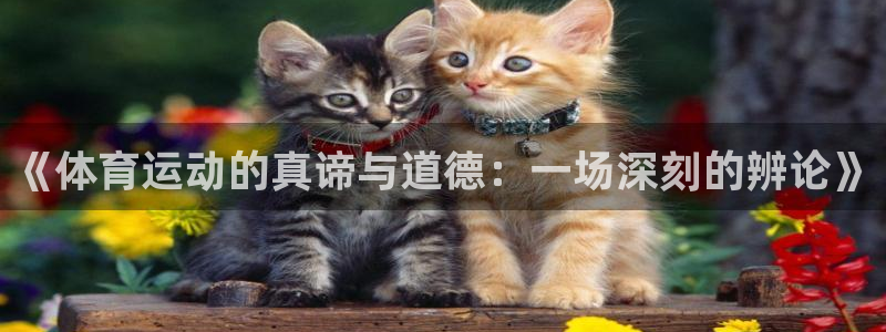 77体育官网：《体育运动的真谛与道德：一场深刻的辨论》