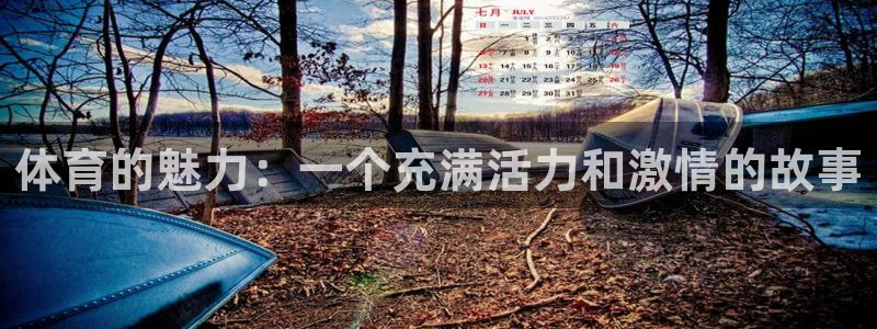 皇冠277体育：体育的魅力：一个充满活力和激情的故事