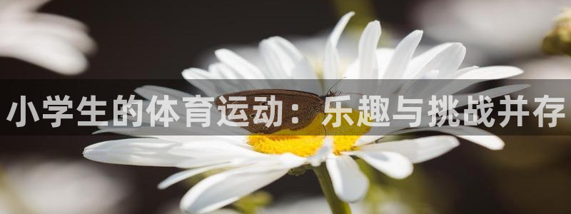 皇冠277体育：小学生的体育运动：乐趣与挑战并存