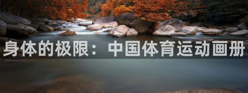 77体育