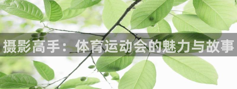 77体育：摄影高手：体育运动会的魅力与故事