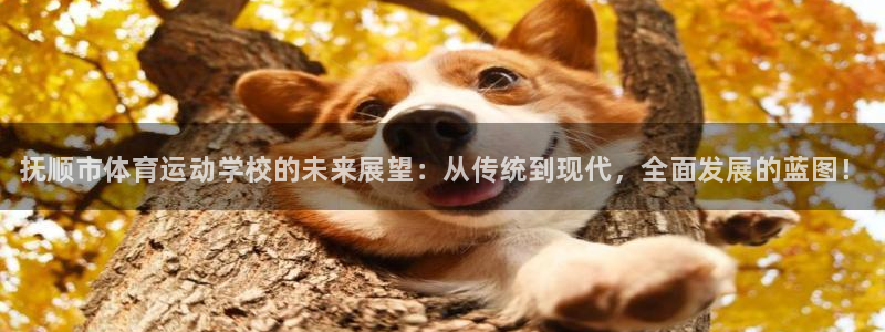 77体育官网：抚顺市体育运动学校的未来展望：从传统到现代，全面发展的蓝图！