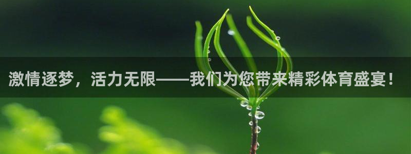 77体育官网：激情逐梦，活力无限——我们为您带来精彩体育盛宴！