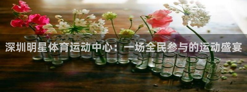 77体育：深圳明星体育运动中心：一场全民参与的运动盛宴