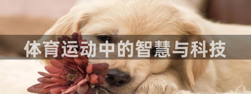 皇冠277体育：体育运动中的智慧与科技